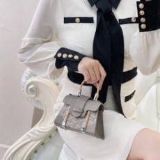 고야드 스트럭쳐 사이공 미니백 그레이