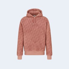 디올 오블리크 스웨이드 후드