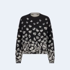 디올 알프스 리버시블 스웨터