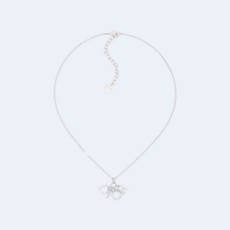 디올 에볼루션 실버 목걸이