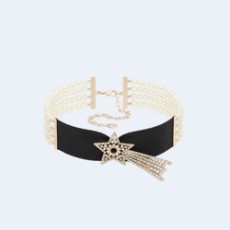 디올 Night Herbarium 초커