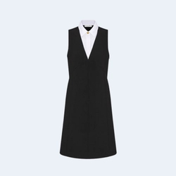 디올 스프레드 칼라 드레스