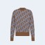 디올 오블리크 울 자카드 스웨터 브라운