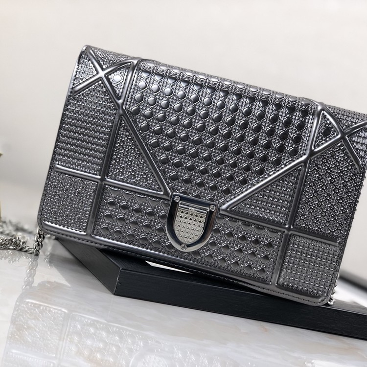 디올 라마 WOC 체인 숄더백