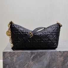 디올 스타 체인 호보 백