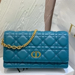 디올 카로 체인 크로스 20