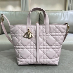 디올 뚜주흐백 23