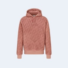 디올 오블리크 스웨이드 후드