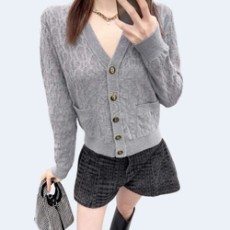 디올 오블리크 가디건 그레이