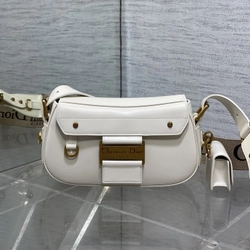 디올 오블리크 스트릿시크 백