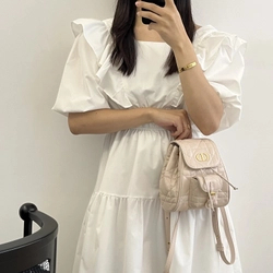 디올 카로 백팩 스몰