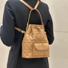 디올 카로 버킷 백