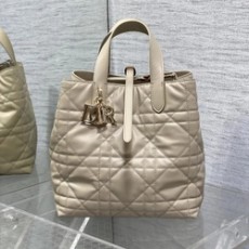 디올 뚜주흐 버티컬 토트백