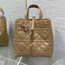 디올 뚜주흐 버티컬 토트백