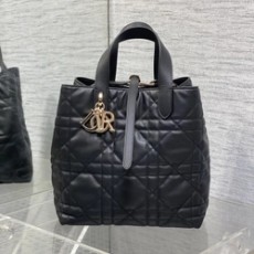 디올 뚜주흐 버티컬 토트백