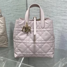 디올 뚜주흐 버티컬 토트백