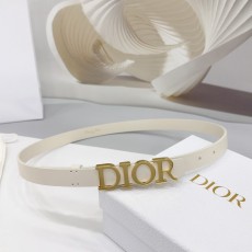 디올 디 드림 골드 벨트