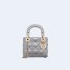 디올 레이디 미니 백 그레이