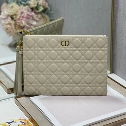 디올 미디움 카로 데일리 파우치