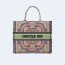 디올 멀티컬러 핑크 북 토트 라지 백