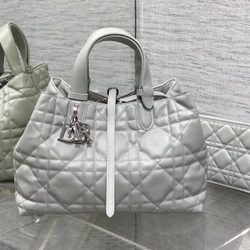 디올 뚜주흐백 미디엄