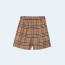 버버리 스트라이프 빈티지 사이드 화이트 체크 쇼츠