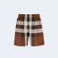 버버리 익스플로디드 체크 실크 쇼츠
