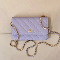 샤넬 25c 크루즈 WOC 탑핸들 미니백