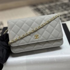 샤넬 25c 크루즈 WOC 미니백