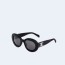 셀린느 아세테이트 트리옹프  선글라스 블랙